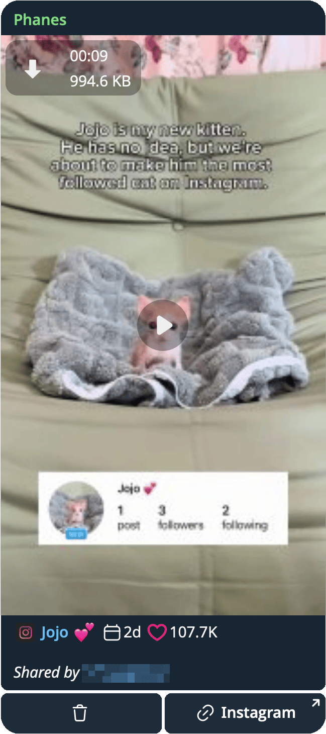 An Instagram link unwrapped in the chat as the reposted video with its caption