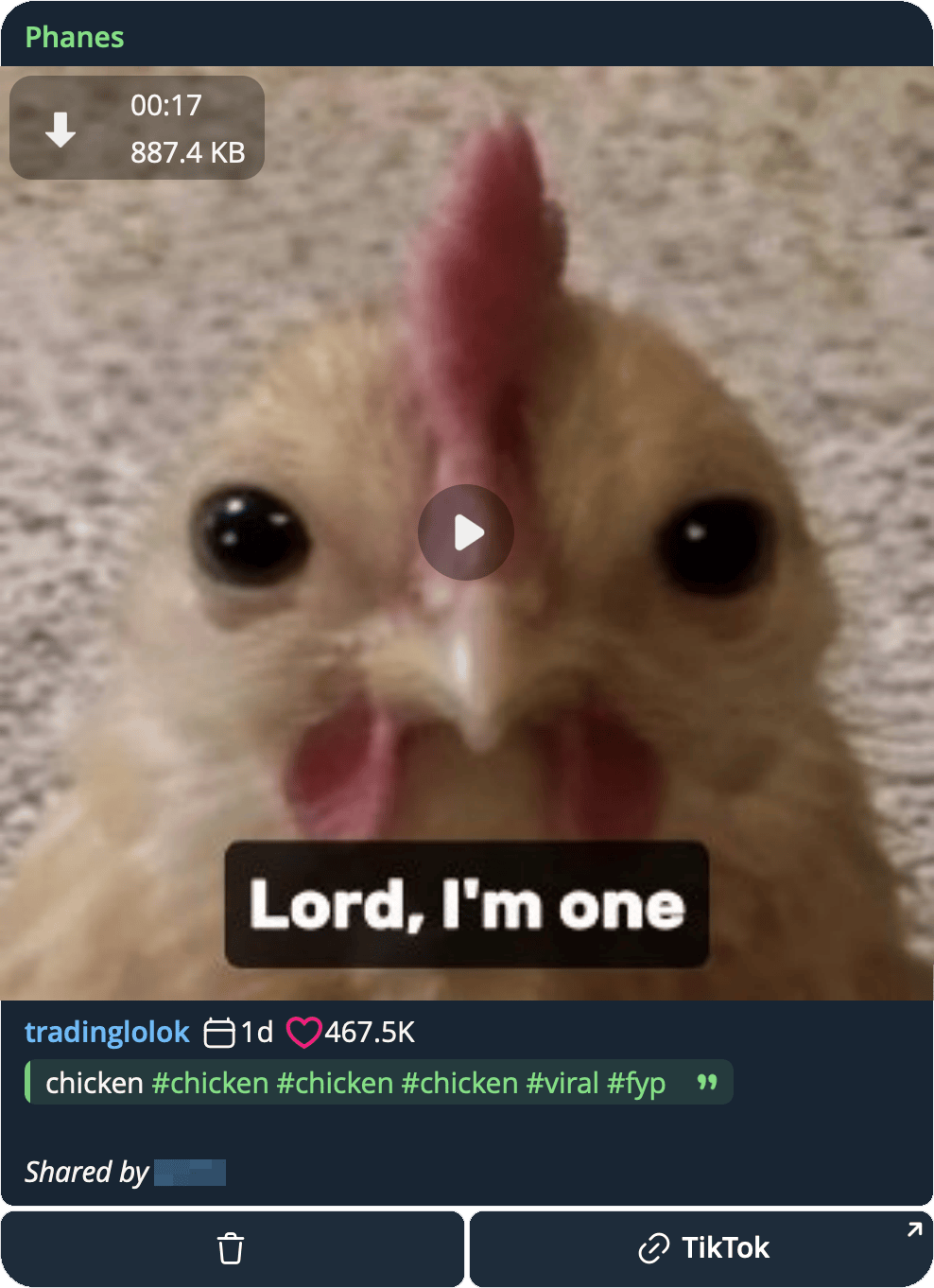 A TikTok link unwrapped in the chat: the video reposted with its author, date, like count and caption